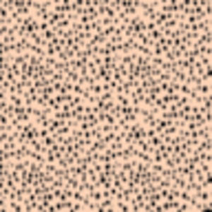 Meet your Posher, Paige